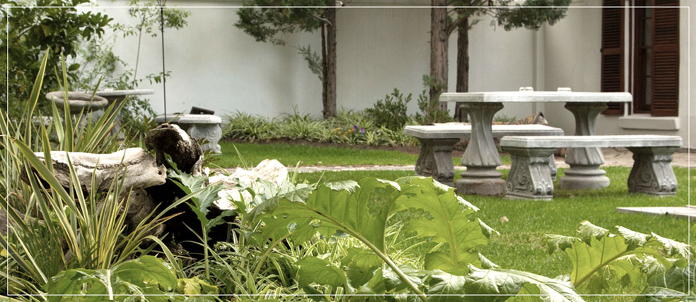 Banner Image Home